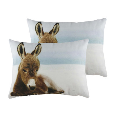 Rectangular Cushion