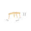 Glorias Coffee Table-106668429