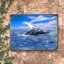 Bloc de bois baleine Sonnier-1848220400