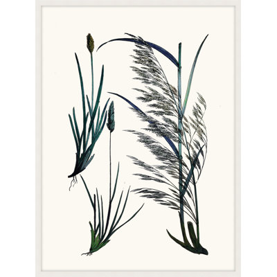Careful in Contemplation 4 Framed Print