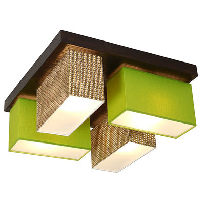 Judkins Flush Mount