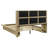 Hendricks Queen Bookcase Platform Bed with Open Cubbies and USB-A/USB-C Ports, Light Oak-126351417