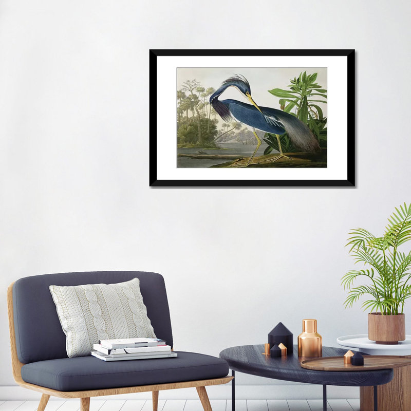 Louisiana Heron, reproduction d'art encadrée sur papier par John James Audubon, H 24 po x l 32 po, Cadre noir