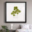 «Pressed Clover II», reproduction encadrée de qualité supérieure - prête à être accrochée-666560574-666560573