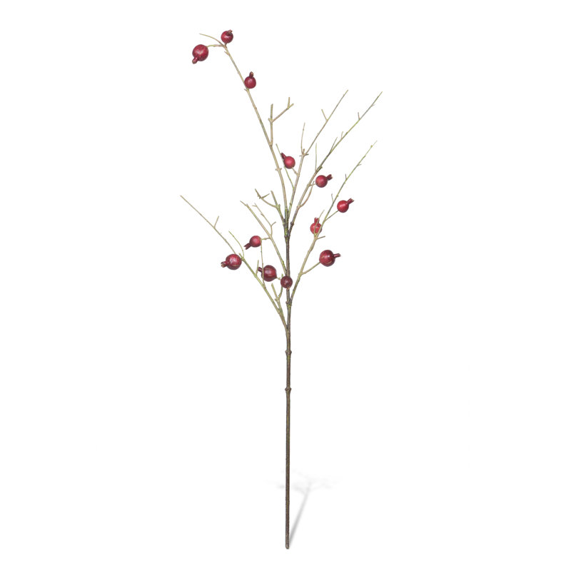 Pomegranate Branch 48"
