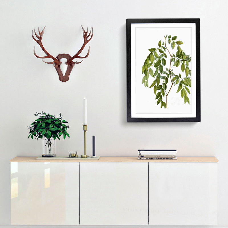 Jujube Fruit Tree Branch by Pierre-Joseph Redoute - Picture Frame Graphic Art Print, 36cm H x 27cm W x 2cm D, Black Framed