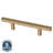 Steel Bar 3  Antimicrobial Stainless Pull-62586175-110391655