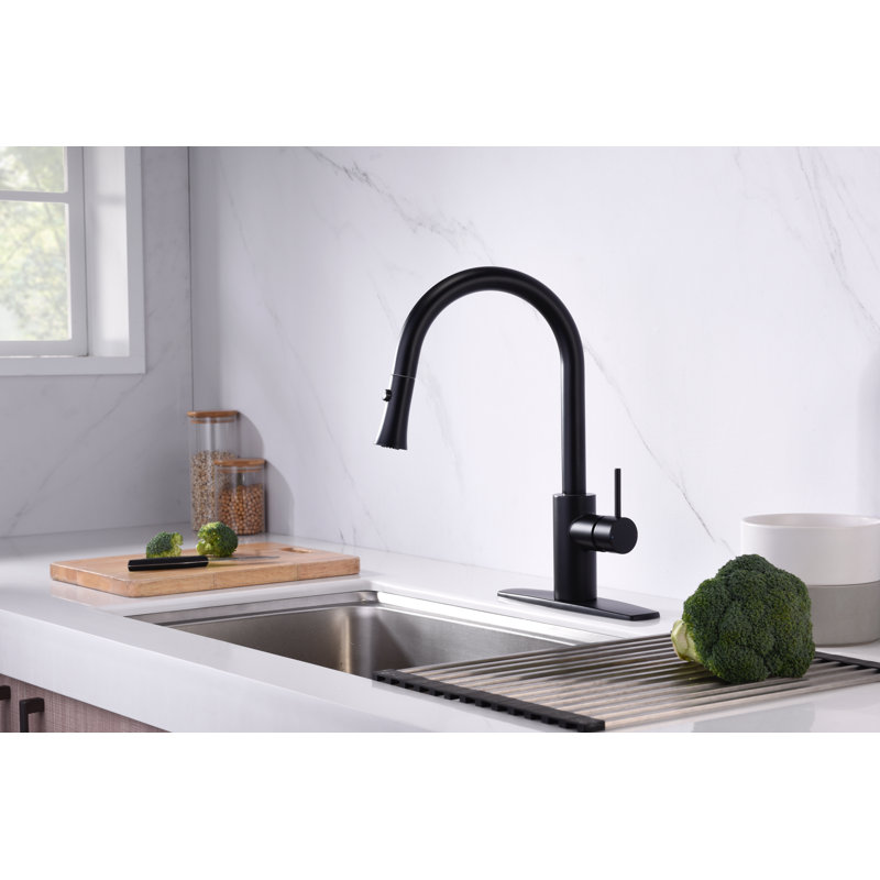 Euro Collection High-Arc Single Handle Kitchen Faucet with 2-Function Pull-Down Spout Sprayer - Matte Black, Matte Black