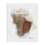 Toile Honeychoom Coastal Conch, conception par Matthew Piotrowicz-1204869120