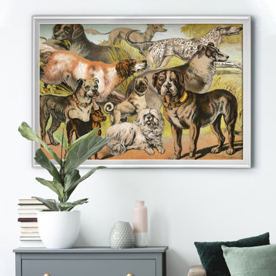 " Johnsons Dog Breeds II "