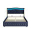 Danayjah Upholstered Bed-803665019-803665021