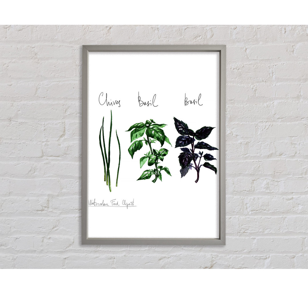 Herb Selection 4 - Einzelne Bilderrahmen Kunstdrucke auf Leinwand