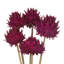 Tête d'artichaut 15 po Vickerman avec tige de roseau, arrangement d'artichaut séché-94734814
