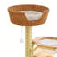 Structure d'escalade simple et tendance