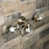 Brushed Nickel is unavailable
