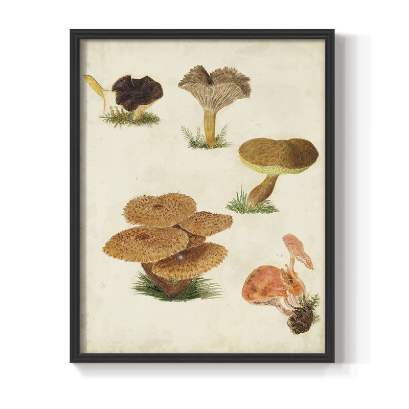Reproduction encadrée de champignon V - Bois massif, Noir, H 28 po x l 22 po