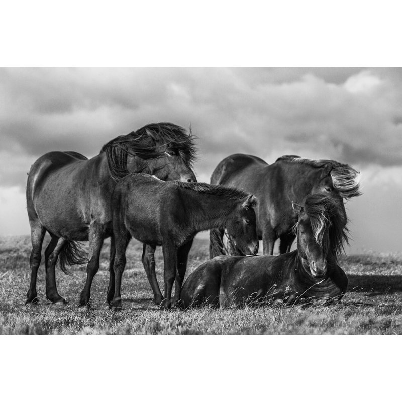 Wrapped Canvas Print, 76.2 cm H x 50.8 cm W