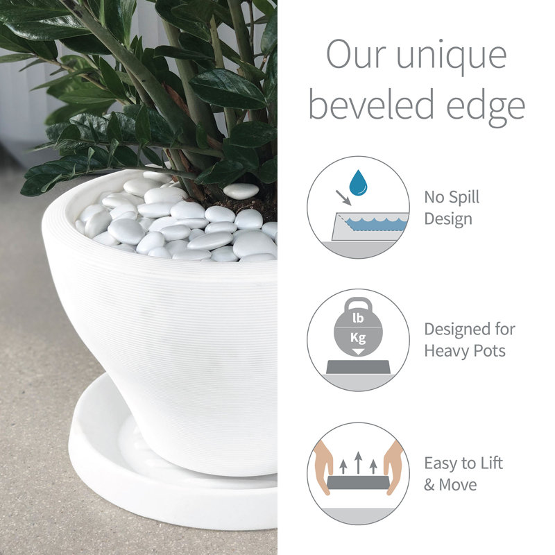 Circular Universal Round Planter Saucer, Alpine White, 8'' inner x 11" outside diameter