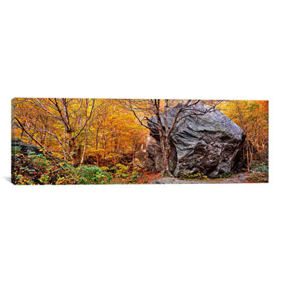 Panoramic Big Boulder in a Forest, Stowe, Lamoille County, Vermont Photographic Print on Canvas