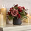 Ranunculus Floral Arrangements in Pot