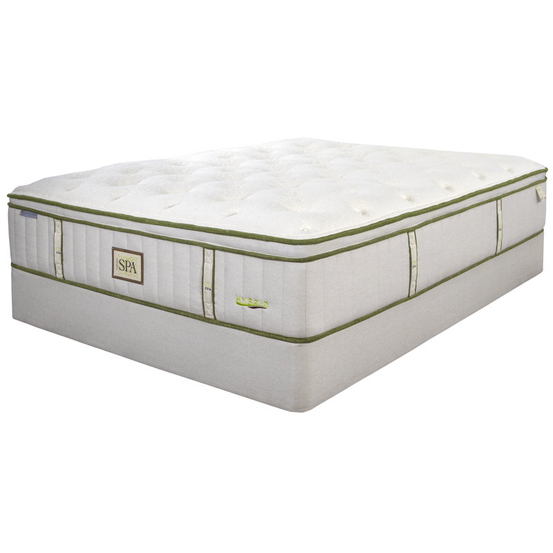 Nature's Spa Hybrid Holistic Euro Top , Queen