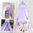 Bed Canopy-102146643