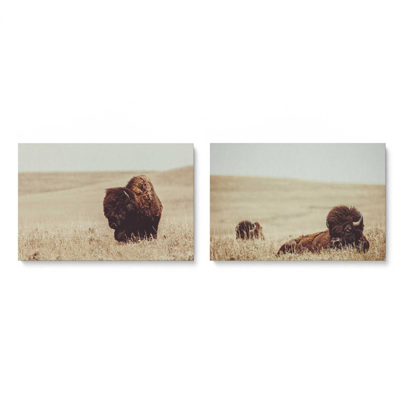 Prairie Bisons Set of 2 Wrapped Canvas, 32" x 48", Toile tendue, Ne s’applique pas, H 32 po x l 96 po