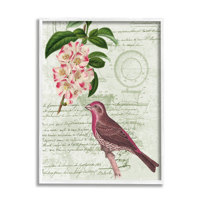 Rosier pinson par Daphne Polselli, H 30 po x l 24 po x P 1,5 po, Giclée encadrée blanc bord de mer