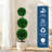 3.4 Ft Artificial Boxwood Topiary Tree for Home and Office