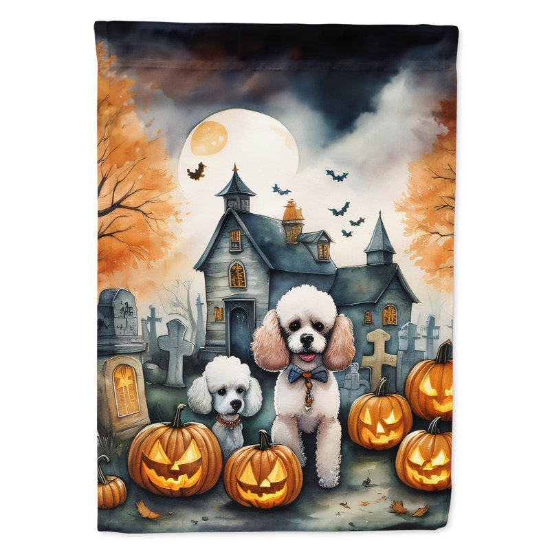Drapeau de jardin en polyester double face H 15,5 po x l 11,25 po
