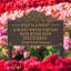 What is a Weed Garden Lawn Plaque-922114513-922114478