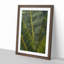 Fronds of a Palm Tree - Framed Print-62803305-62803307