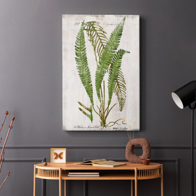 Greenhouse Fern I -Gallery Wrapped Cavas