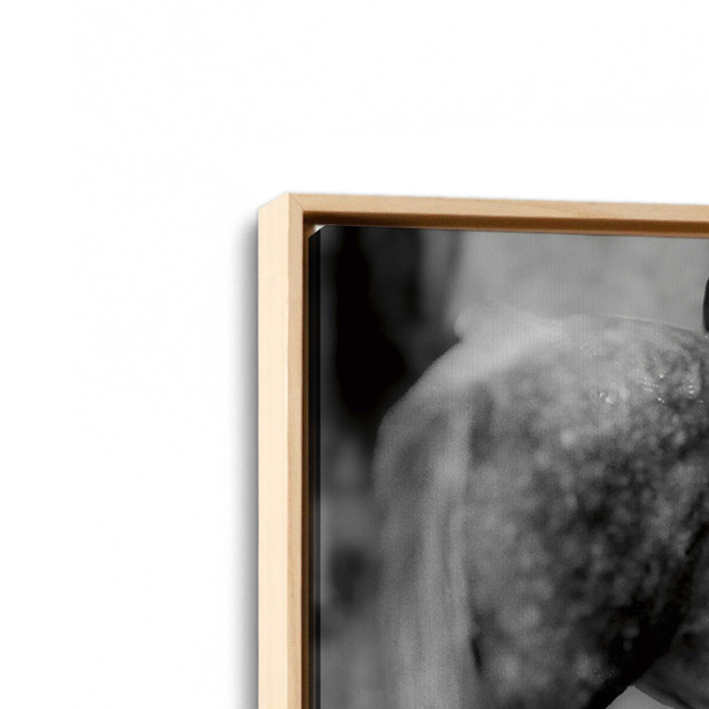 «Painted Pony» par Nathan Larson, reproduction d'art, 18 W x 12 H, Tan, Framed Canvas