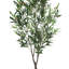 Faux Olive Tree Plant in Pot-1026647872