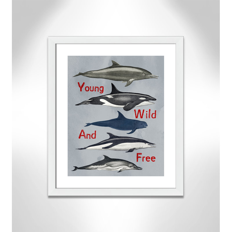 «Young and Wild», impression sur papier, H 24,5 po x l 20,5 po x P 0,6 po, Encadré plat blanc
