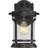 Yeles 1-Light Dimmable Outdoor Wall Lantern-21557320