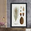Pin botanique - Peinture-595111416-595111409