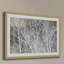 Single Picture Frame Print-18641076