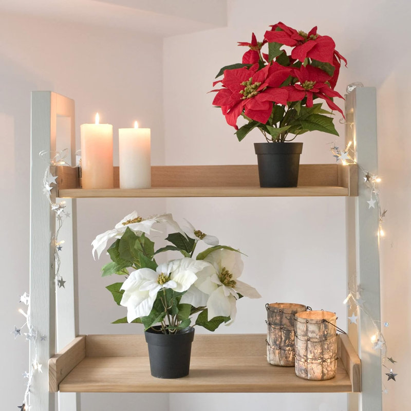 Poinsettia Arrangement, White, 40cm x 25cm