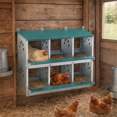 Boîte de nidification pour poulets, 6 nichoirs en métal pour poules, boîtes de nidification pour poules en acier galvanisé, facile à assembler