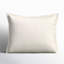 Cody 100% Cotton Envelope Sham-606339819