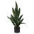 Sansevieria Artificial Plant