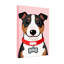 Portrait d'animaux avec un collier rouge et une étiquette en os-549505272-549505273-549505223