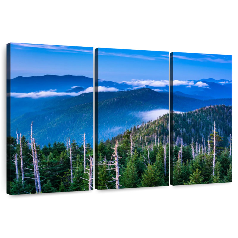 Paysage Alvord Great Smoky Mountain, H 20 po x l 33 po