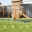 Équipement de dressage réglable pour chien, jeu de terrain pour chien avec poteaux, sac de transport et piquets de sol pour les jeux de parc animalier