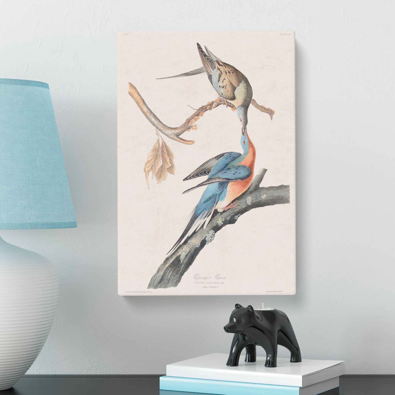 Passenger Pigeons by John James Audubon - Wrapped Canvas, 60cm H x 40cm W x 3cm D
