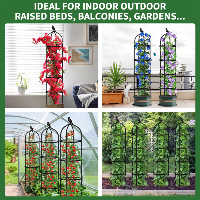 177.8cm H x 32cm W Metal Arched Trellis
