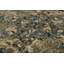 Rug & Kilim’S Armorial Tudor Style Rug In Black, With Beige, Blue And Gold Tones