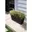 Pure Series Midori Planter-1913503948-1967359767-1913503944